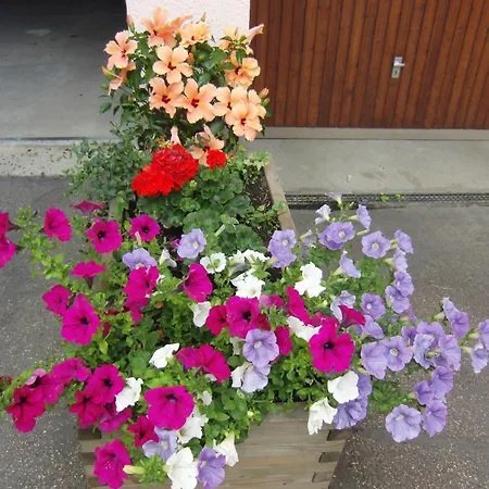 Ξενοδοχείο Zur Linde